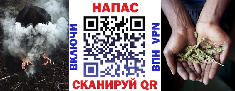 Купить где Тихвин Бошки Шишки VHQ